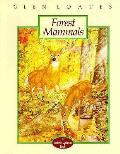 Forest Mammals The North American Wildl