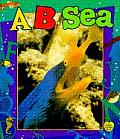 A...B...Sea