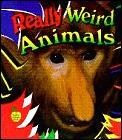 Really Weird Animals
