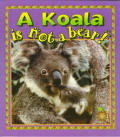 Koala Is Not A Bear