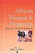African Women & Feminism Reflecting