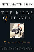 Birds Of Heaven Travels With Cranes
