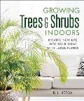 Growing Trees & Shrubs Indoors Breathe New Life into Your Home with Large Plants