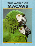 World Of Macaws