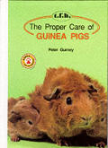 Proper Care Of Guinea Pigs