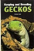 Keeping & Breeding Geckos