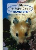 Proper Care Of Hamsters