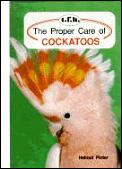 Proper Care Of Cockatoos