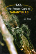 Proper Care Of Tarantulas