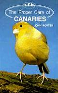 Proper Care Of Canaries