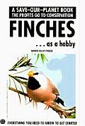 Finches As A Hobby