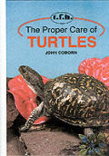 Proper Care Of Turtles