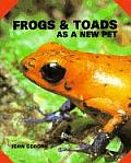 Frogs & Toads As A New Pet