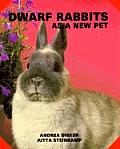 Dwarf Rabbits As A New Pet