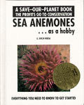 Sea Anemones As A Hobby