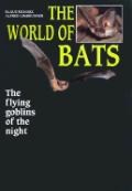World Of Bats The Flying Goblins Of The
