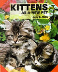 Kittens As A New Pet