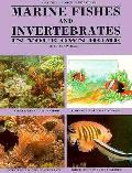 Marine Fishes & Invertebrates In Your Own Home