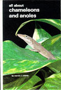 All About Chameleons & Anoles Ps 310
