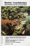 Marine Invertebrates & Plants Of The Living Reef