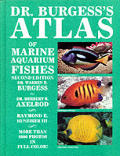 Dr Burgesss Atlas Of Marine Aquarium Fishes