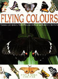 Flying Colours: Common Cate[r]pillars, Butterflies, and Moths of South-Eastern Australia
