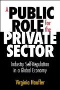 A Public Role for the Private Sector: Industry Self-Regulation in a Global Economy