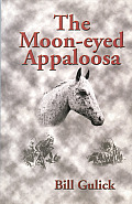 Moon Eyed Appaloosa