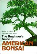 Beginners Guide To American Bonsai
