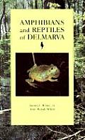 Amphibians & Reptiles Of Delmarva