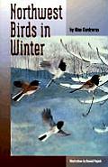 Northwest Birds In Winter