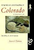 Amphibians & Reptiles in Colorado 2nd Edition