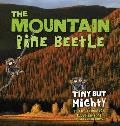 Mountain Pine Beetle Tiny But Mighty