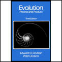 Evolution Process & Product