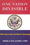 One Nation Divisible: What America Was and What It Is Becoming