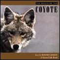 World Of The Coyote