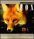 World Of The Fox