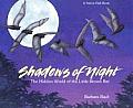 Shadows of the Night PB: The Hidden World of the Little Brown Bat