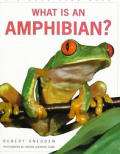 What Is An Amphibian
