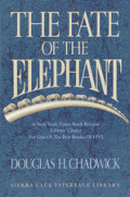 Fate Of The Elephant