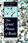 Great House Of Birds