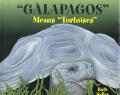 Galapagos Means Tortoises