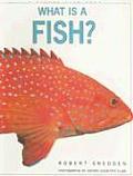 What Is A Fish