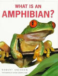 What Is An Amphibian