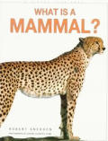 What Is A Mammal