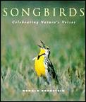 Songbirds Celebrating Natures Voice