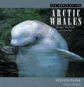 World Of The Arctic Whales Belugas Bowhe