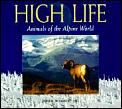 High Life Animals Of The Alpine World