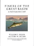 Fishes Of The Great Basin A Natural History