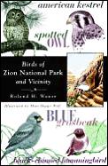 Birds Of Zion National Park & Vicinity